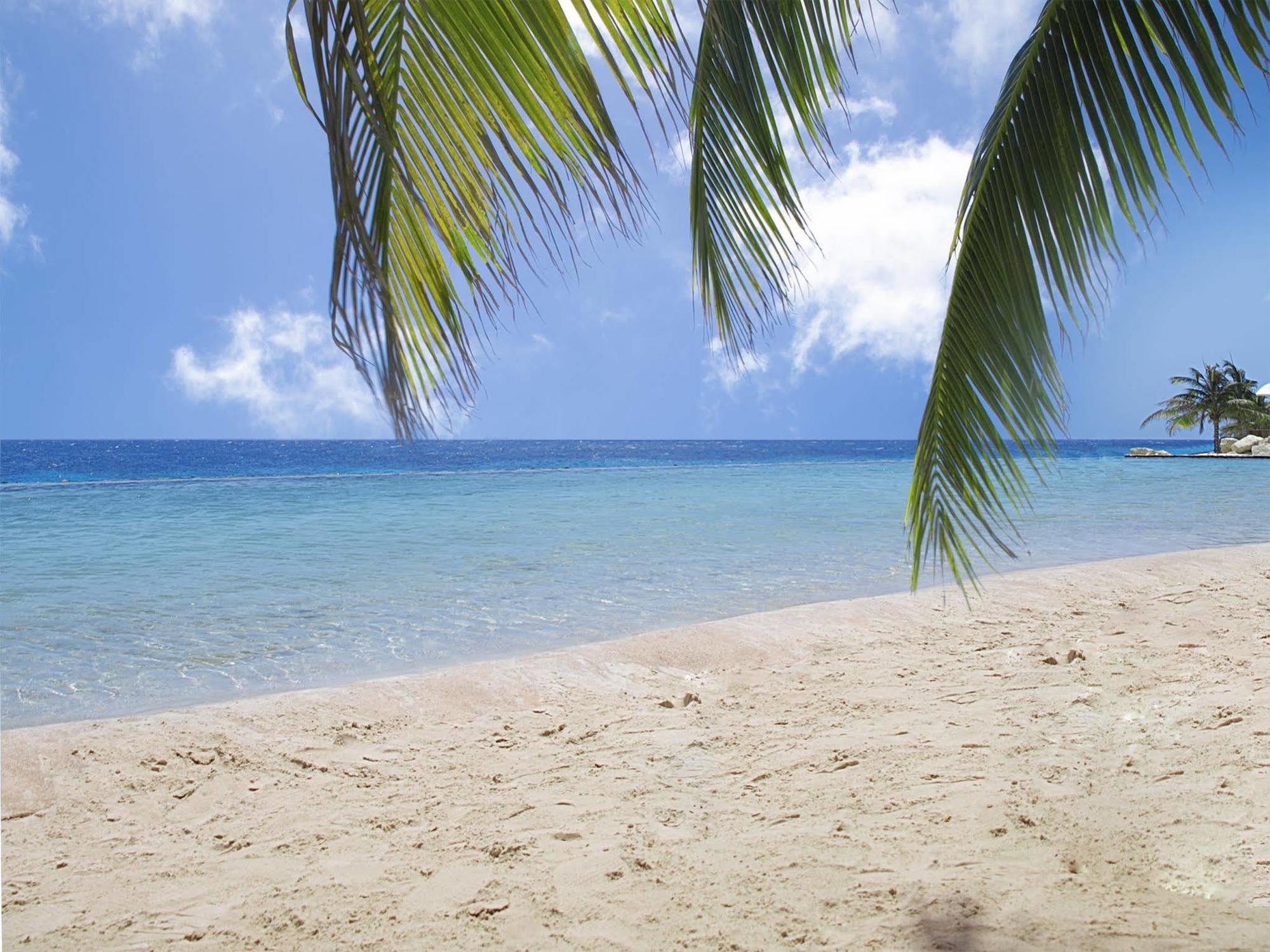 Papagayo Beach Resort (Adults Only) ウィレムスタッド エクステリア 写真